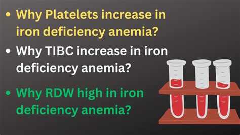 Why Platelet Increase In Iron Deficiency Anemia