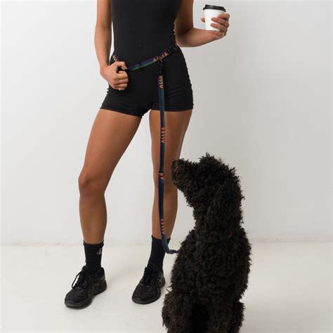 Why Portability Matters for the Modern Dog Owner