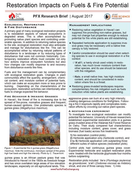 Why Reacting Fuels the Fire