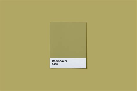 Why Rediscover Paint Dsi Today