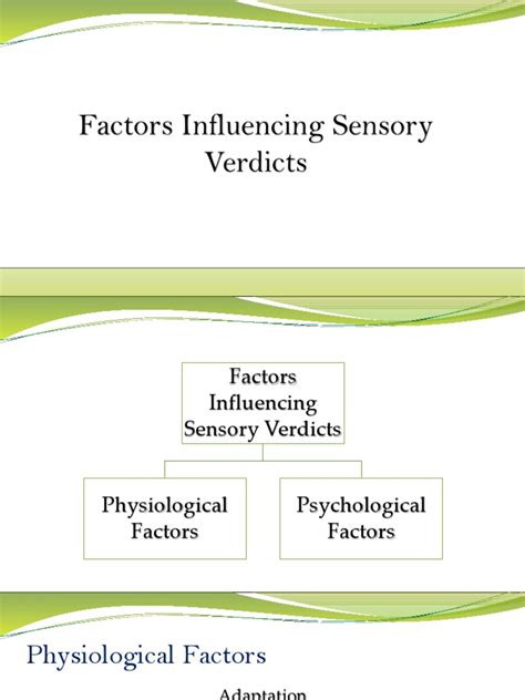 Why State Matters: Key Factors Influencing Verdicts