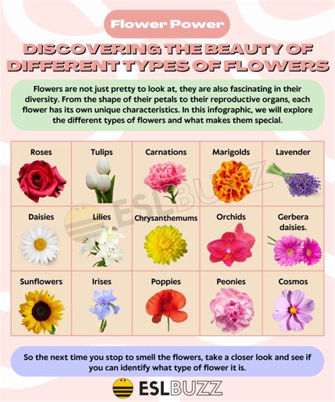 Why Understanding Flower Types Matters