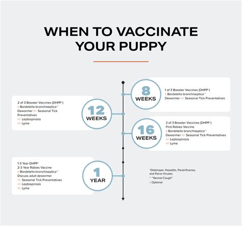 Why Vaccinations Are Non Negotiable