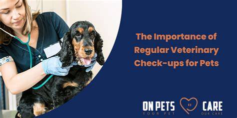 Why Veterinary Check-Ups Are Crucial