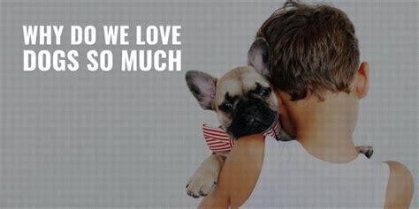 Why We Love Dogs