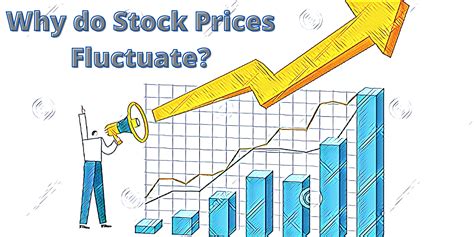 Why Wrap Prices Fluctuate