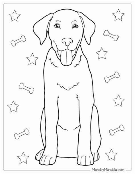 Why Yellow Lab Coloring Pages Are a Must-Have