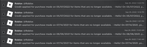 Why did my Robux get deleted when I bought 2 items from a 