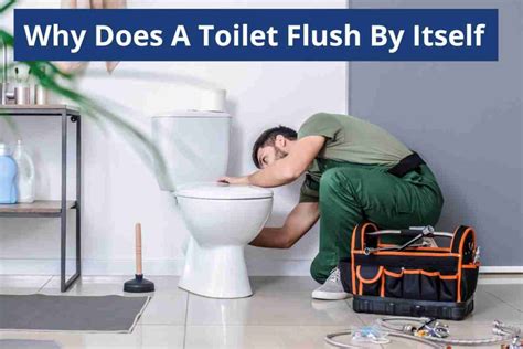 Why is the Flush Controversial