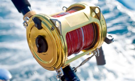 Why it's important to choose the right fishing reel for your needs