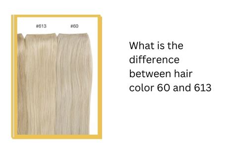 Why the 613 Color is a Game Changer