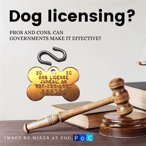 Why Dog Licensing Matters