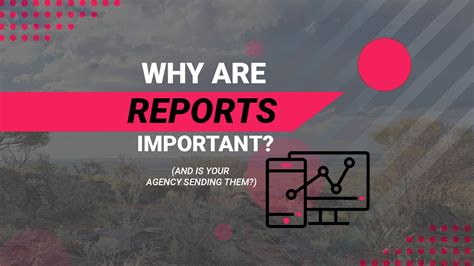 Why Reports Are Important