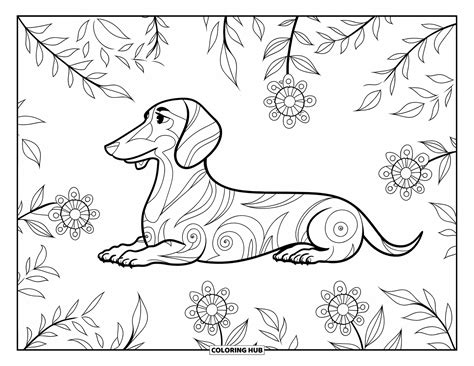 Wiener Dog Coloring Pages
