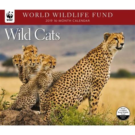 Wild Cats WWF 2023 Wall Calendar Calendars For All