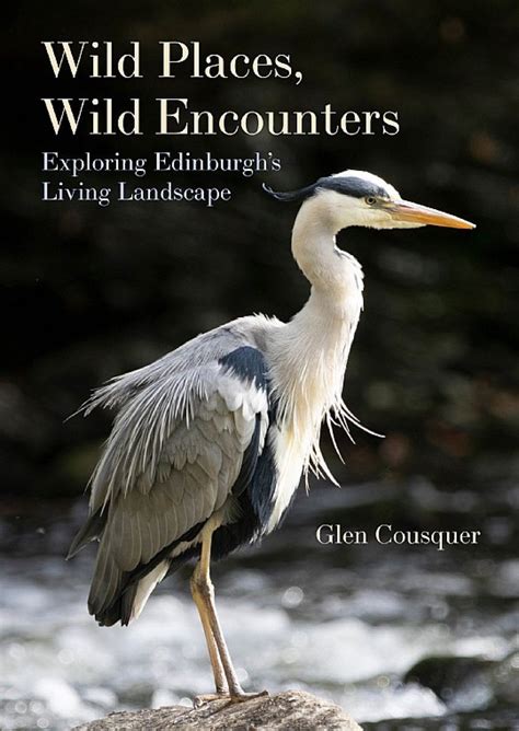 Wild Encounters