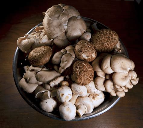 Wild Mushroom Medley Soup