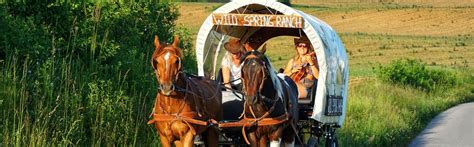 Wild Spring Ranch facilities