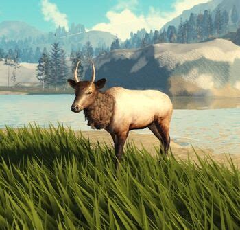 Wild Wolves Hunting Elk On Roblox Yellowstone - Animal Games on 