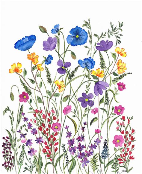 Discover the Vibrant Beauty of Wildflower Prints