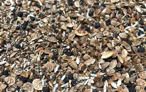 Wildflower Seed Calculator