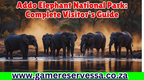 Wildlife Photography Addo