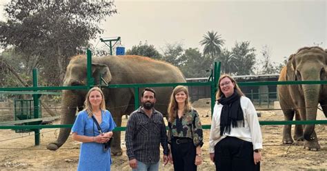 Wildlife SOS Elephant