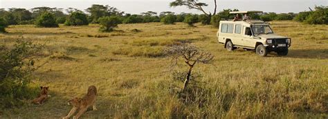 Wildlife Safari Expectations