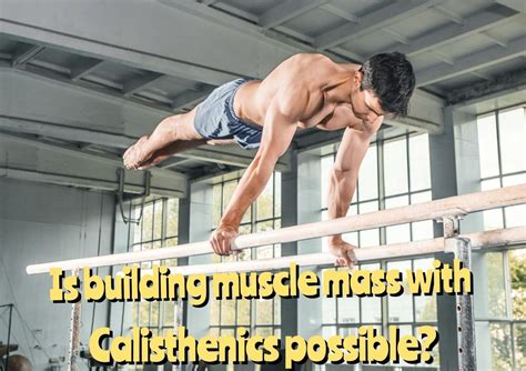 Will Calisthenics Maintain Muscle