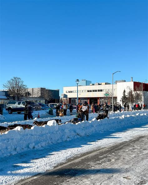 Willow Snowmobile Adventure Tour: A Detailed Review