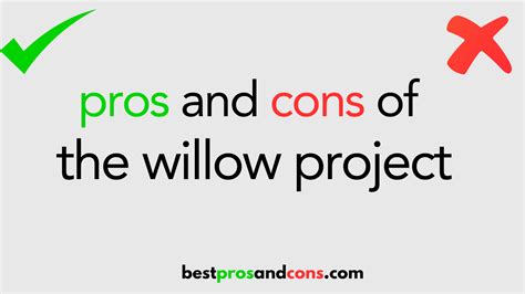 Willow Project Pros And Cons
