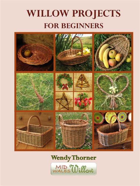 Willow Projects For Beginners Wendy Thorner Ridge