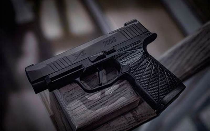 Wilson Combat P365 XL: The Ultimate Concealed Carry Pistol