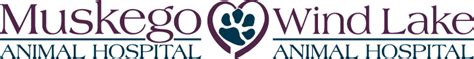 Expert Veterinary Care at Wind Lake Animal Hospital - Your Trusted Partner in Pet Health