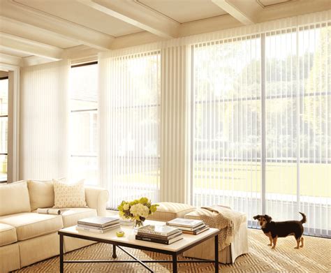 Window Sheers Ideas