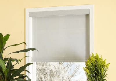 Window With Shade Inside