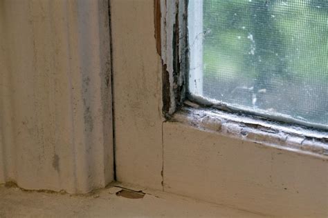 Window Wood Rot Indianapolis Home