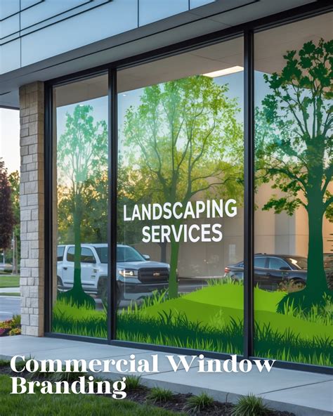 Window tint Centennial