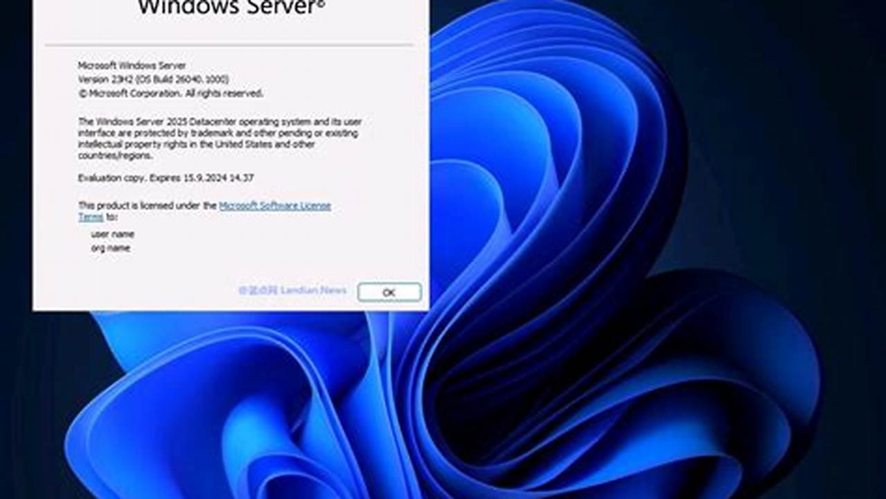 Windows Server 2025 Win11