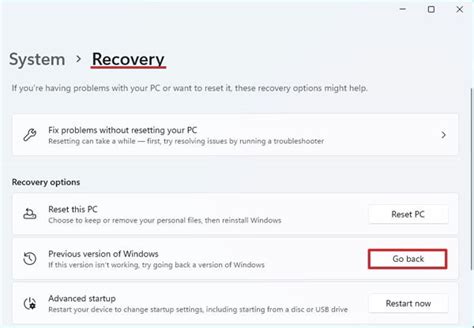 Fitur Go Back Windows 11