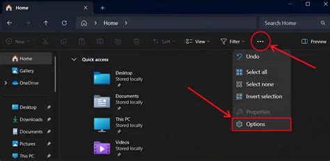 Windows 11 Libraries in File Explorer