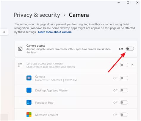 Windows privacy settings camera access toggle