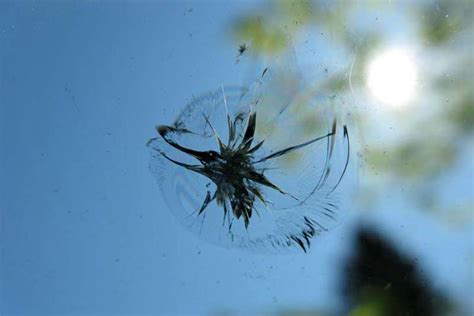 Windshield Damage in Tampa