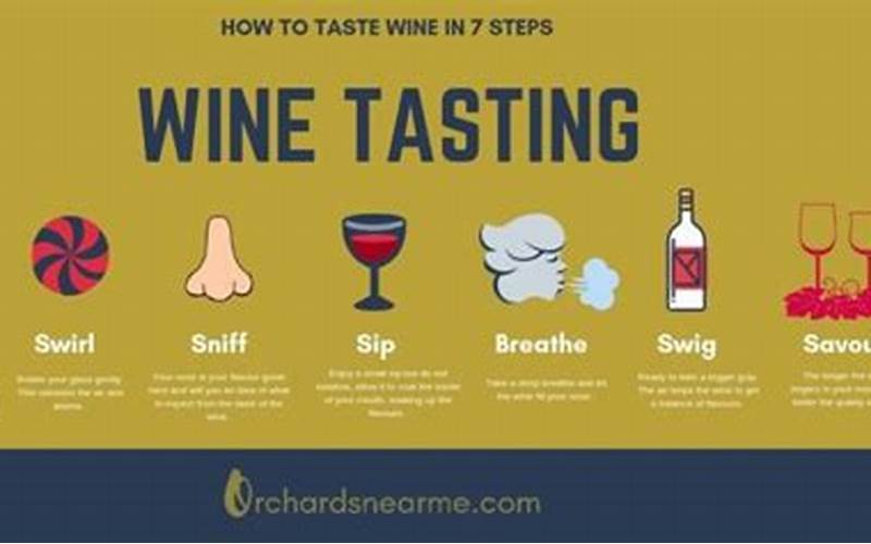 Wine Tasting Techniques