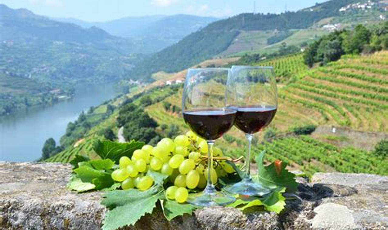 Wine tasting tours in renowned vineyards