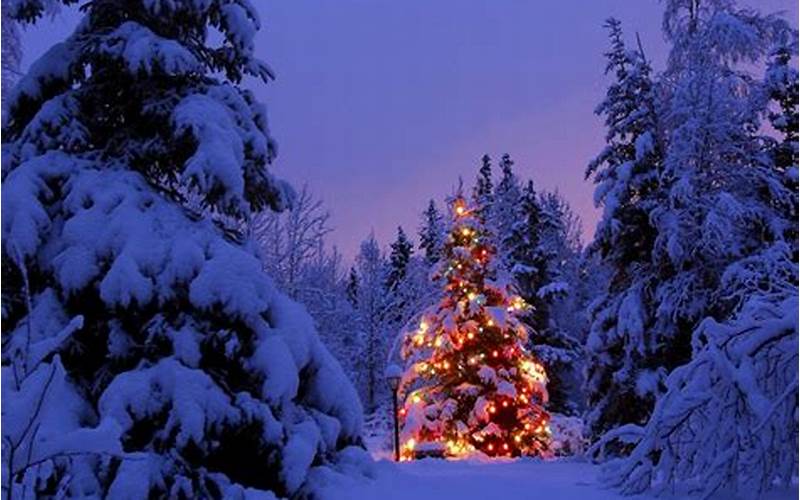 Winter Landscape With Christmas Lights