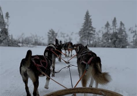 Winter Activities Salen