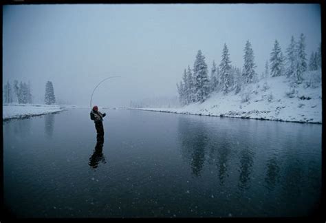 Winter Fishing Dream Stream