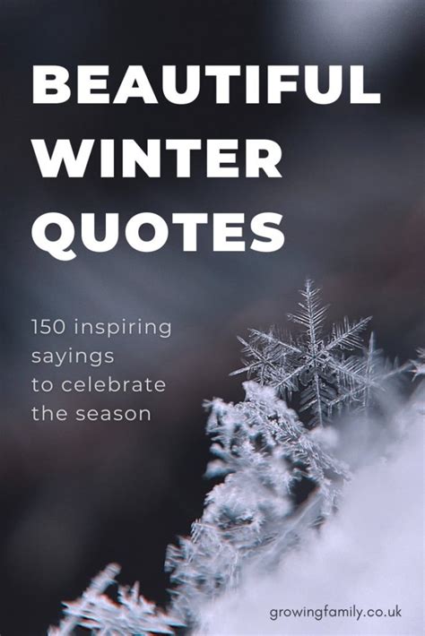 Winter Quotes About Life
