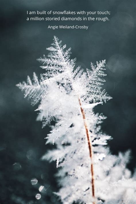 Winter Quotes Nature